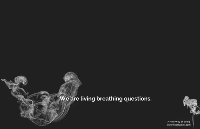 Featured image for “We are living breathing questions”
