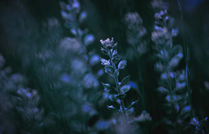 Featured image for “[Essay] Falling In Love With What Is”